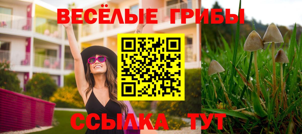 Псилоцибиновые грибы Magic Shrooms Новозыбков