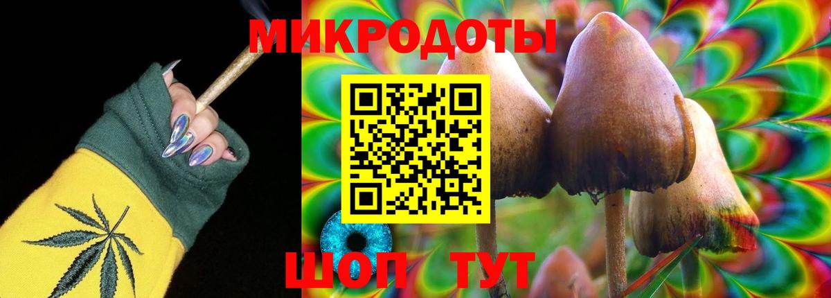 Псилоцибиновые грибы мицелий  Галлюциногенные грибы Magic Shrooms  Новозыбков  Вход с VPN 