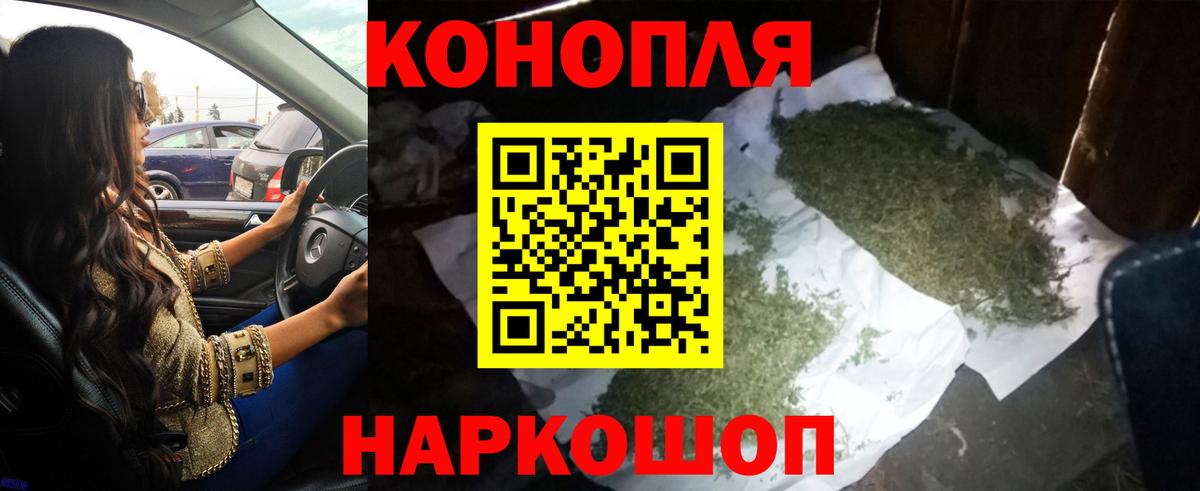Каннабис план  Вход с VPN  Новозыбков  Шишки марихуана ГИДРОПОН  МАРИХУАНА Bruce Banner 